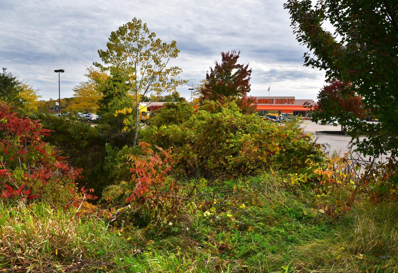 Ox Creek at Home Depot parking lot Todd Marsee, Michigan Sea Grant Ox Creek at Home Depot parking lot