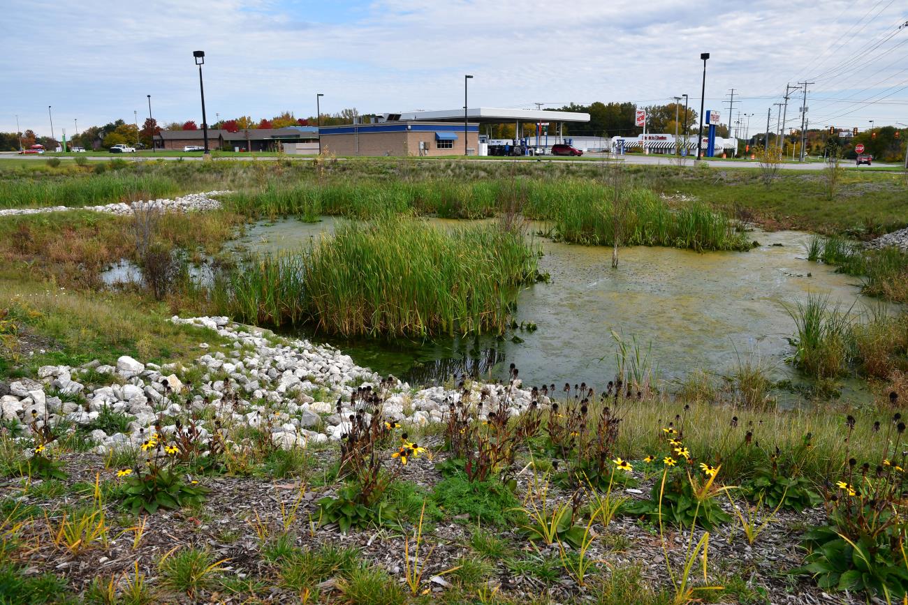 Ox Creen Meijer parking lot rain gardens Todd Marsee, Michigan Sea Grant Ox Creen Meijer parking lot rain gardens