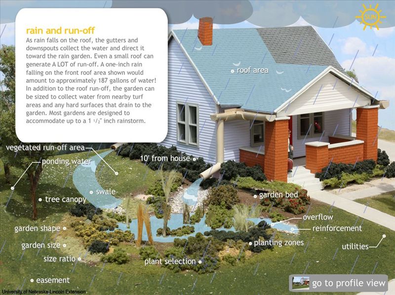 View what a rain garden does!