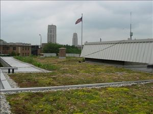 Green Roof found at the Battle Creek Public Safety Building  [Click here to view full size picture]