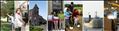 CEDS-Banner [Click here to view full size picture]