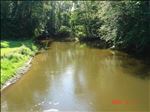 Paw Paw River [Click here to view full size picture]