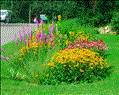 Click here to view full size picture
