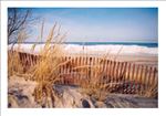 Silver Beach-Berrien County [Click here to view full size picture]