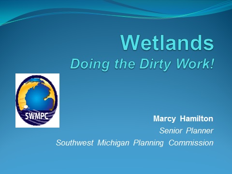 wetlands_doing_the_dirty_work.jpg